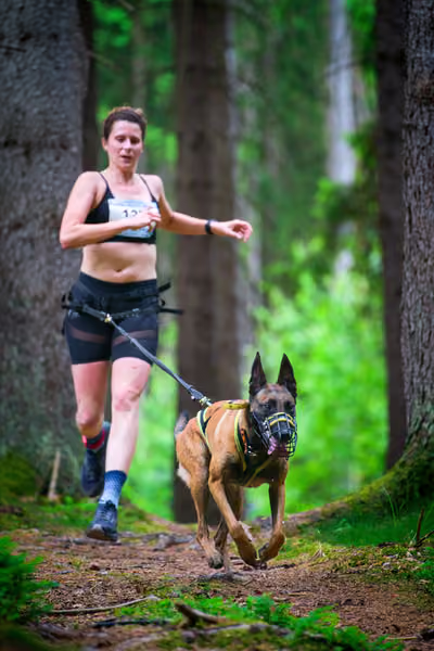 Krkonošský canicross - Jilemnice – 30. května 2026