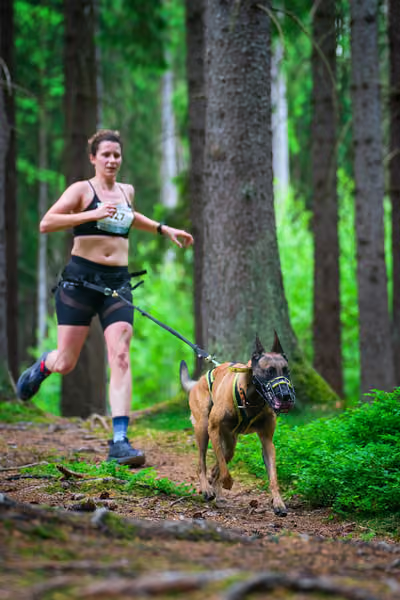 Krkonošský canicross - Jilemnice – 30. května 2026
