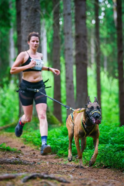 Krkonošský canicross - Jilemnice – 30. května 2026