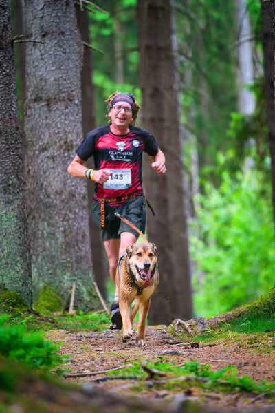 Krkonošský canicross - Jilemnice – 30. května 2026