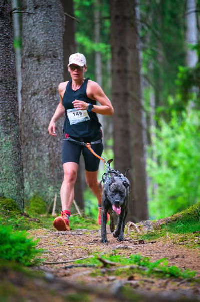 Krkonošský canicross - Jilemnice – 30. května 2026