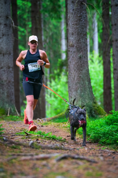 Krkonošský canicross - Jilemnice – 30. května 2026