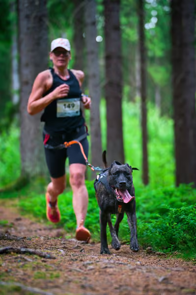 Krkonošský canicross - Jilemnice – 30. května 2026