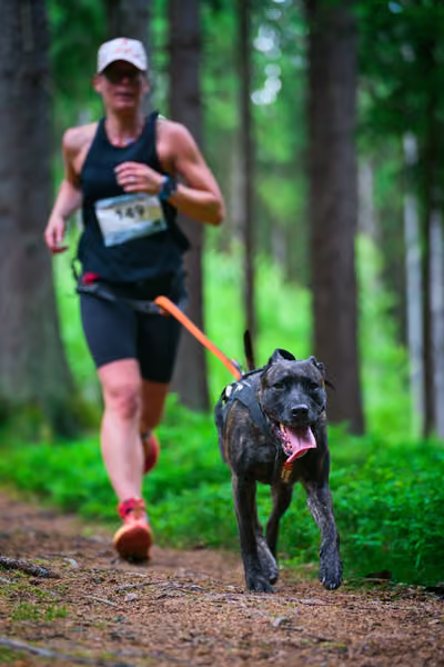 Krkonošský canicross - Jilemnice – 30. května 2026