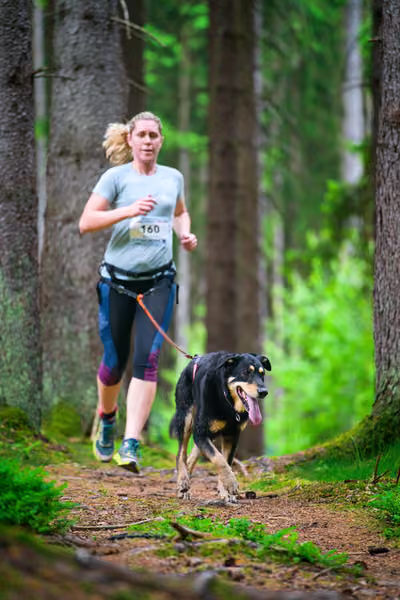Krkonošský canicross - Jilemnice – 30. května 2026