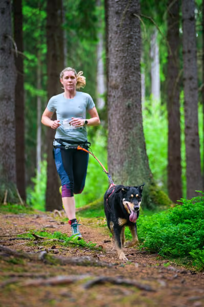Krkonošský canicross - Jilemnice – 30. května 2026