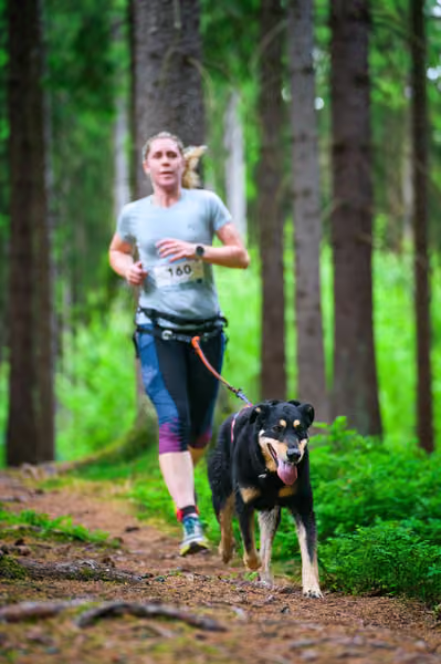 Krkonošský canicross - Jilemnice – 30. května 2026