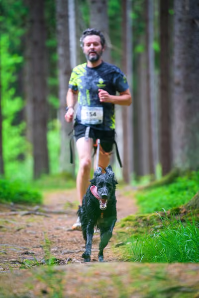 Krkonošský canicross - Jilemnice – 30. května 2026