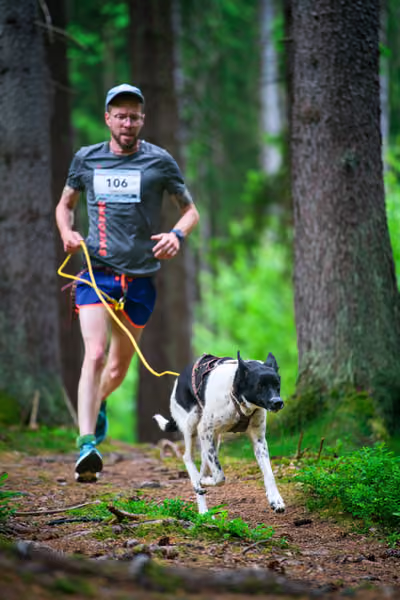 Krkonošský canicross - Jilemnice – 30. května 2026