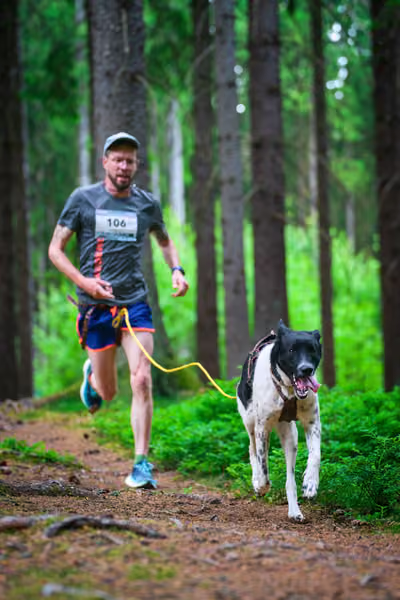Krkonošský canicross - Jilemnice – 30. května 2026