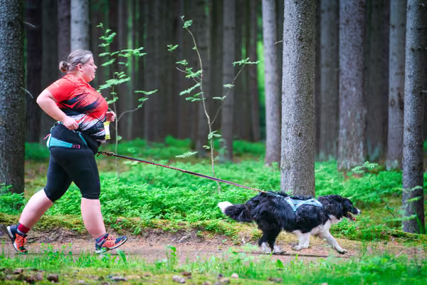 Krkonošský canicross - Jilemnice – 30. května 2026