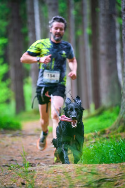 Krkonošský canicross - Jilemnice – 30. května 2026