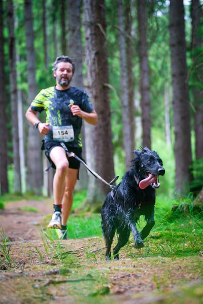 Krkonošský canicross - Jilemnice – 30. května 2026