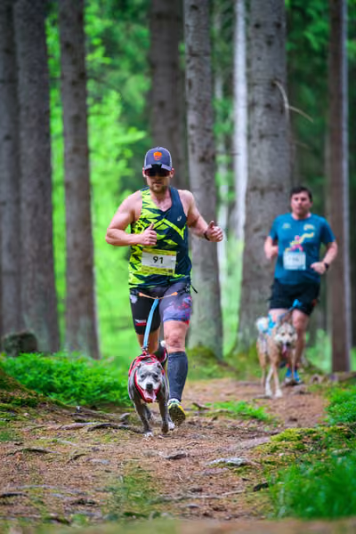 Krkonošský canicross - Jilemnice – 30. května 2026