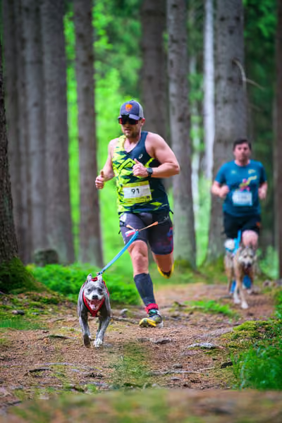 Krkonošský canicross - Jilemnice – 30. května 2026