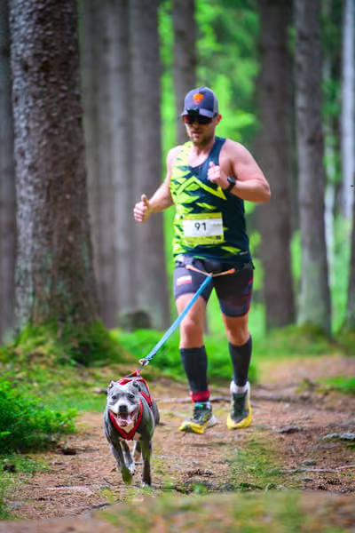 Krkonošský canicross - Jilemnice – 30. května 2026