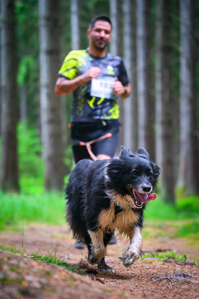 Krkonošský canicross - Jilemnice – 30. května 2026