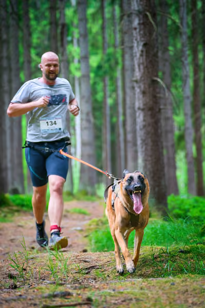 Krkonošský canicross - Jilemnice – 30. května 2026