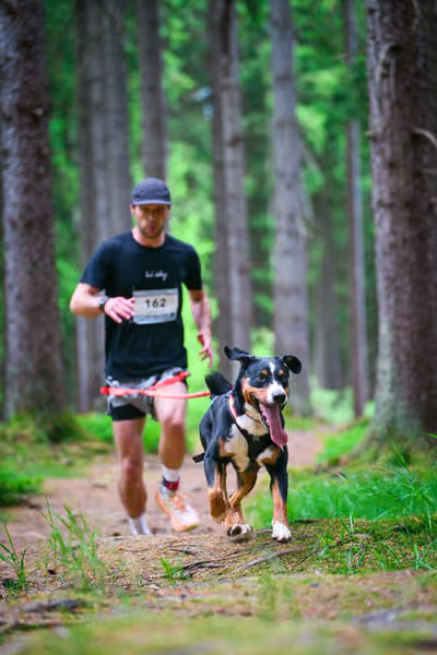 Krkonošský canicross - Jilemnice – 30. května 2026