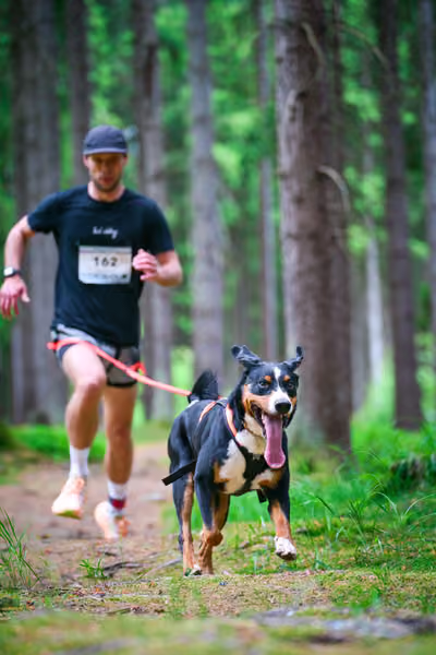 Krkonošský canicross - Jilemnice – 30. května 2026