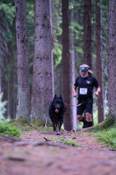 Krkonošský canicross - Jilemnice – 30. května 2026