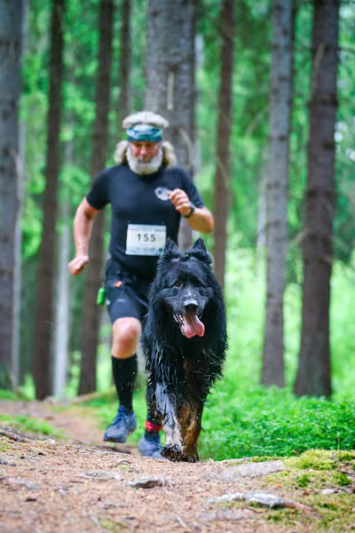 Krkonošský canicross - Jilemnice – 30. května 2026