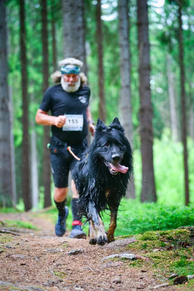 Krkonošský canicross - Jilemnice – 30. května 2026
