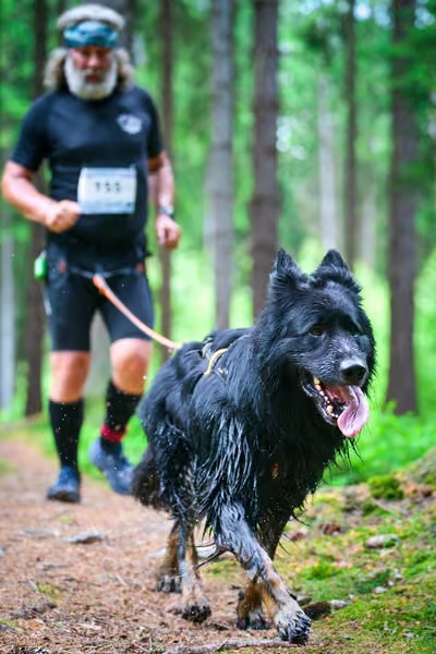 Krkonošský canicross - Jilemnice – 30. května 2026