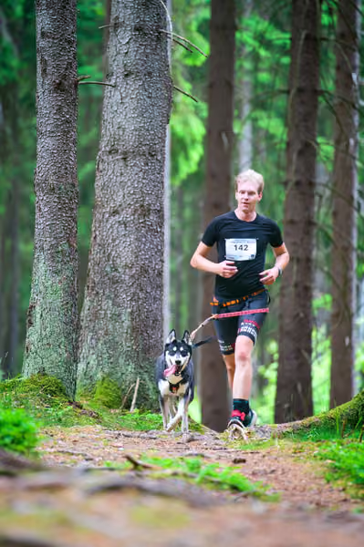 Krkonošský canicross - Jilemnice – 30. května 2026