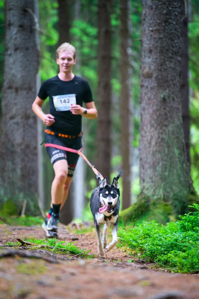 Krkonošský canicross - Jilemnice – 30. května 2026