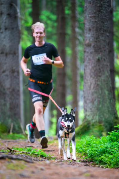 Krkonošský canicross - Jilemnice – 30. května 2026