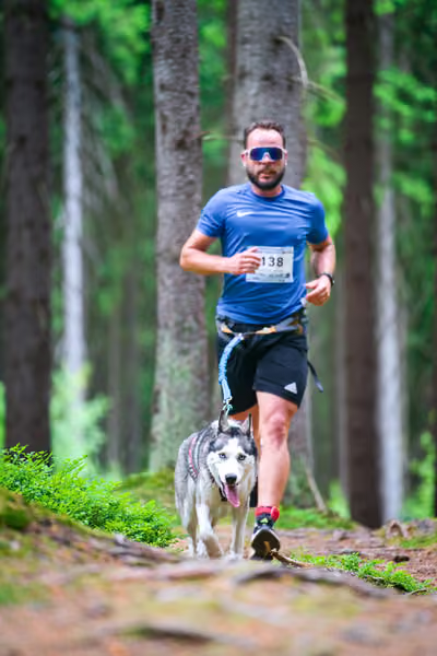 Krkonošský canicross - Jilemnice – 30. května 2026