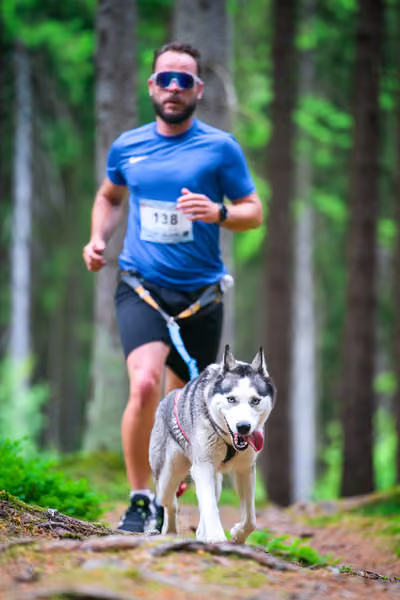 Krkonošský canicross - Jilemnice – 30. května 2026