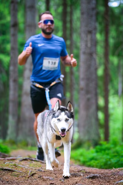 Krkonošský canicross - Jilemnice – 30. května 2026