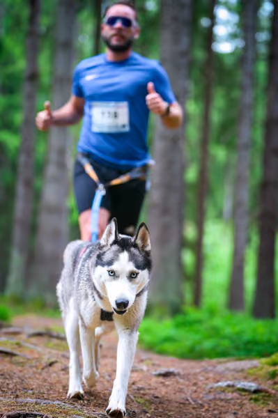 Krkonošský canicross - Jilemnice – 30. května 2026