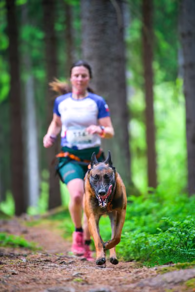 Krkonošský canicross - Jilemnice – 30. května 2026