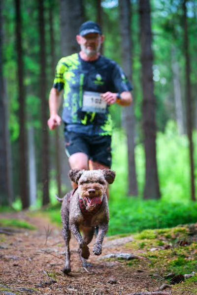 Krkonošský canicross - Jilemnice – 30. května 2026