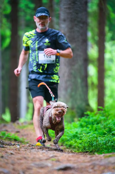 Krkonošský canicross - Jilemnice – 30. května 2026