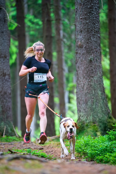 Krkonošský canicross - Jilemnice – 30. května 2026