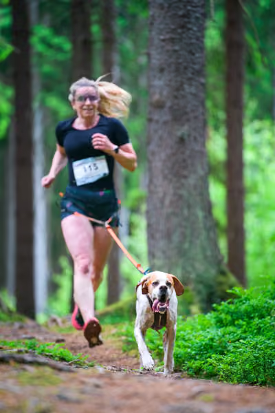 Krkonošský canicross - Jilemnice – 30. května 2026