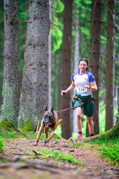 Krkonošský canicross - Jilemnice – 30. května 2026