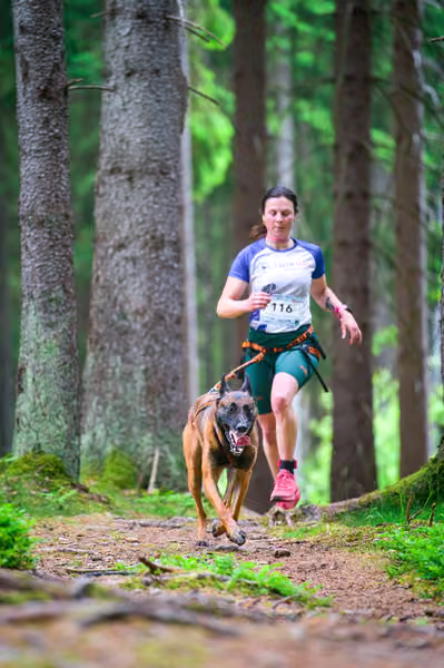 Krkonošský canicross - Jilemnice – 30. května 2026