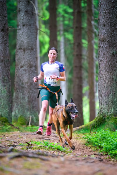 Krkonošský canicross - Jilemnice – 30. května 2026