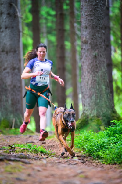 Krkonošský canicross - Jilemnice – 30. května 2026