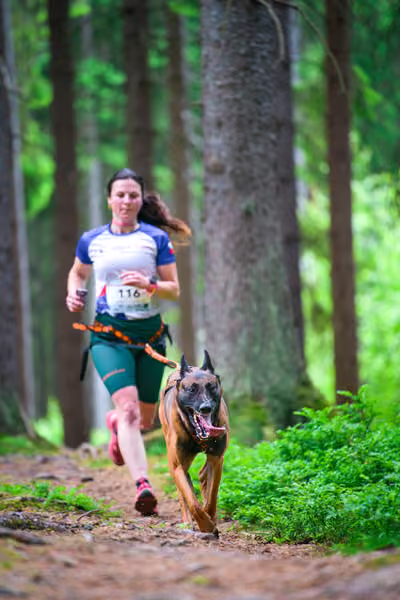 Krkonošský canicross - Jilemnice – 30. května 2026