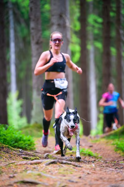 Krkonošský canicross - Jilemnice – 30. května 2026