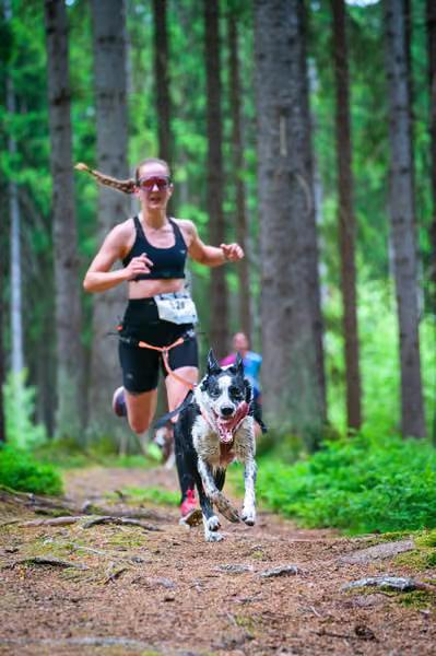 Krkonošský canicross - Jilemnice – 30. května 2026