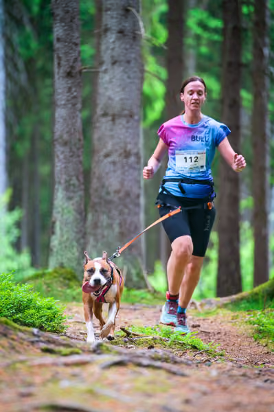 Krkonošský canicross - Jilemnice – 30. května 2026