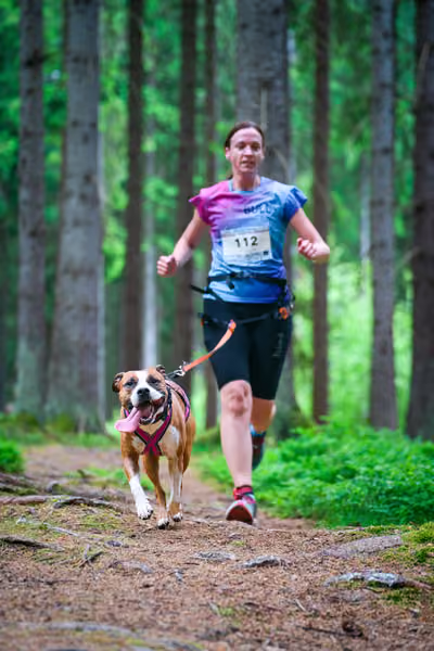 Krkonošský canicross - Jilemnice – 30. května 2026