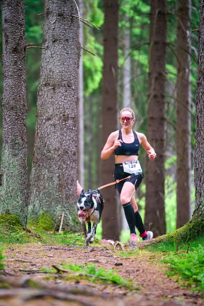 Krkonošský canicross - Jilemnice – 30. května 2026